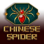 Chinese Spider